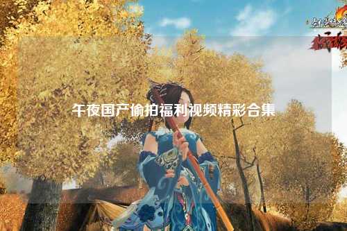 午夜国产偷拍福利视频精彩合集