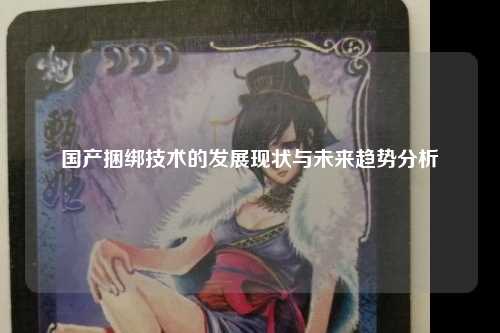 国产捆绑技术的发展现状与未来趋势分析