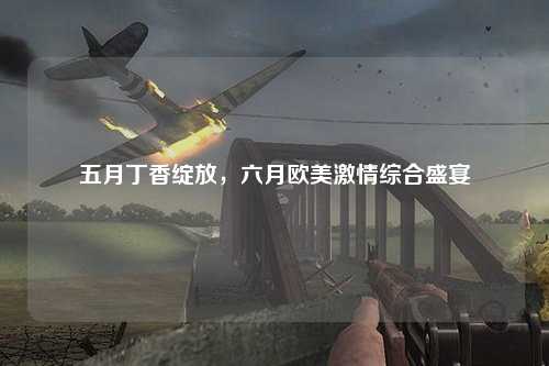 五月丁香绽放，六月欧美激情综合盛宴