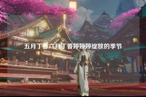 五月丁香六月丁香婷婷婷绽放的季节