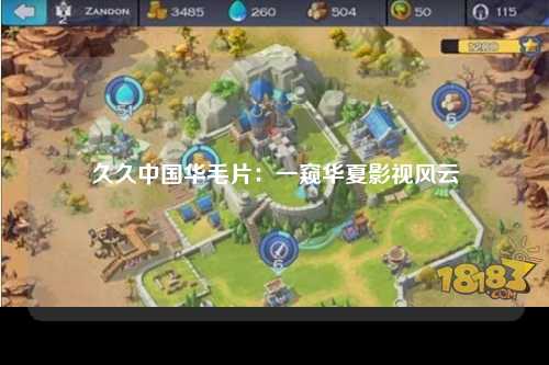 久久中国华毛片：一窥华夏影视风云