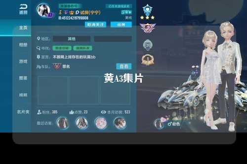 黄A3集片