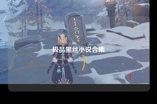 极品黑丝小说合集