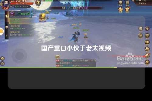 国产重口小伙于老太视频