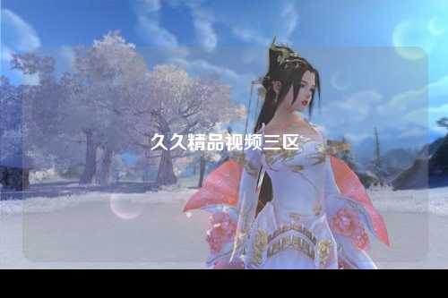 久久精品视频三区