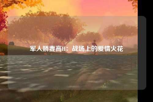 军人娇妻高H：战场上的爱情火花