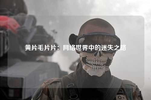 黄片毛片片：网络世界中的迷失之路