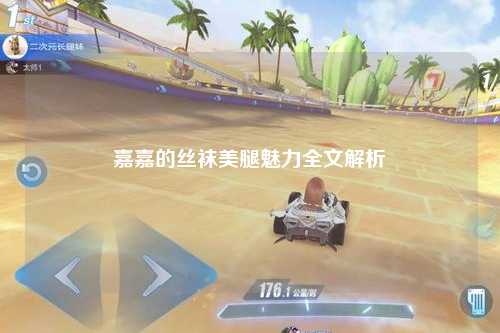 嘉嘉的丝袜美腿魅力全文解析