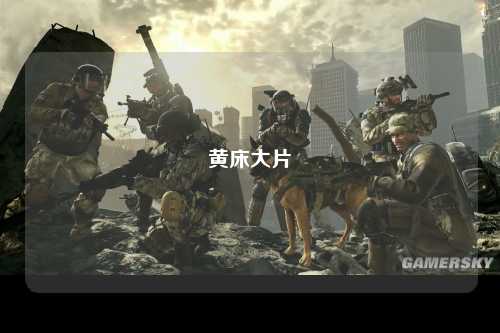 黄床大片