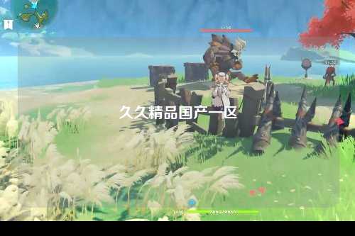 久久精品国产一区