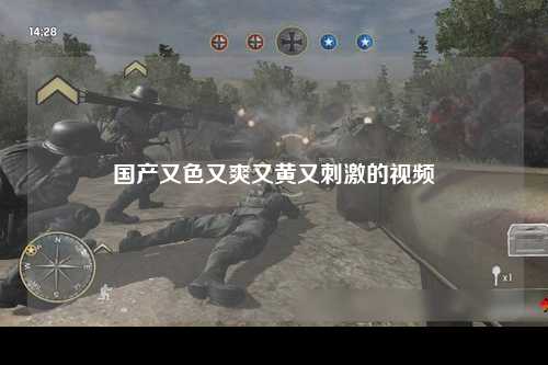国产又色又爽又黄又刺激的视频