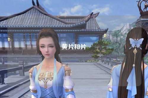 黄片和片