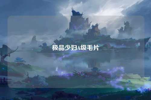 极品少妇A级毛片