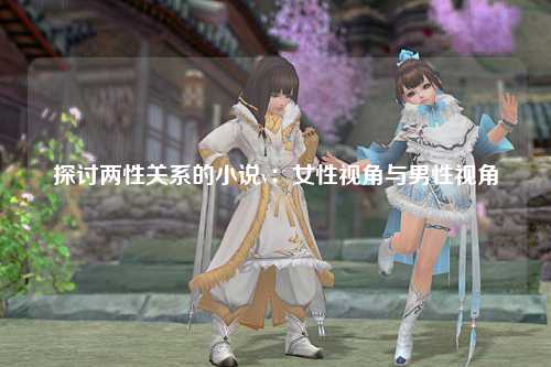探讨两性关系的小说v：女性视角与男性视角