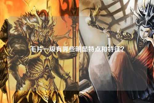 毛片一级有哪些明显特点和特征？